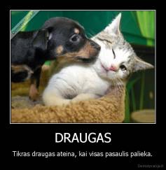 DRAUGAS - Tikras draugas ateina, kai visas pasaulis palieka.