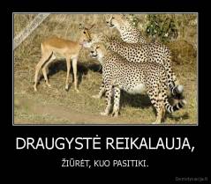 DRAUGYSTĖ REIKALAUJA, - ŽIŪRĖT, KUO PASITIKI.