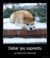 Dabar jau suprantu - ką reiškia tikra ištikimybė