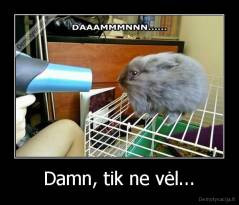 Damn, tik ne vėl... - 