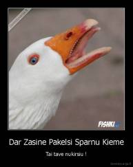 Dar Zasine Pakelsi Sparnu Kieme - Tai tave nukirsiu !