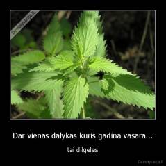 Dar vienas dalykas kuris gadina vasara... - tai dilgeles
