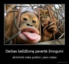 Darbas beždžionę pavertė žmogumi - alchoholis viska gražino į savo vietas
