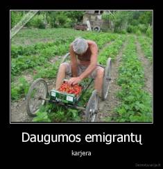Daugumos emigrantų - karjera