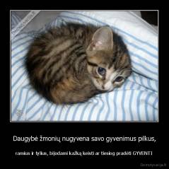 Daugybė žmonių nugyvena savo gyvenimus pilkus, -  ramius ir tylius, bijodami kažką keisti ar tiesiog pradėti GYVENTI 