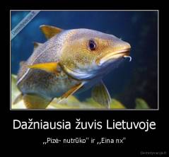 Dažniausia žuvis Lietuvoje - ,,Pizė- nutrūko'' ir ,,Eina nx''