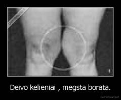 Deivo kelieniai , megsta borata. - 