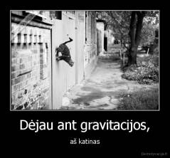 Dėjau ant gravitacijos, - aš katinas