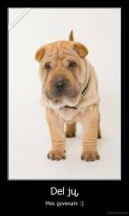 Del jų, - Mes gyvenam :}