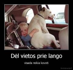 Dėl vietos prie lango - visada reikia kovoti