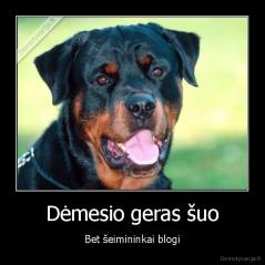 Dėmesio geras šuo - Bet šeimininkai blogi