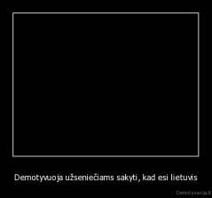 Demotyvuoja užseniečiams sakyti, kad esi lietuvis - 
