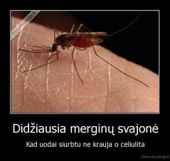 Didžiausia merginų svajonė - Kad uodai siurbtu ne krauja o celiulita