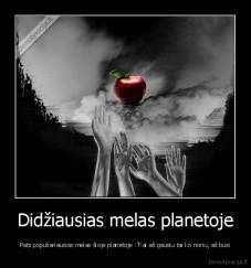 Didžiausias melas planetoje - Pats populiariausias melas šioje planetoje :"Kai aš gausiu tai ko noriu, aš busi