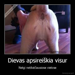 Dievas apsireiškia visur - Netgi netikėčiausiose vietose
