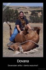 Dovana - Dovanotam arkliui i dantis neziurima?