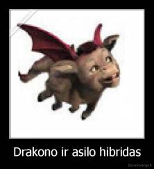 Drakono ir asilo hibridas - 