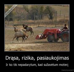 Drąsa, rizika, pasiaukojimas - Ir ko tik nepadarytum, kad sužavėtum moterį