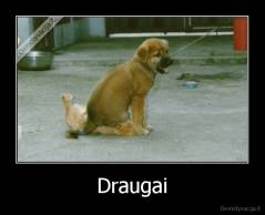 Draugai - 