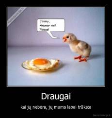 Draugai - kai jų nebėra, jų mums labai trūksta