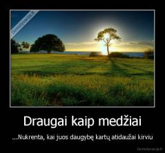 Draugai kaip medžiai - ...Nukrenta, kai juos daugybę kartų atidaužai kirviu