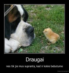 Draugai - nes tik jie mus supranta, kad ir kokie bebutume