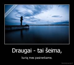 Draugai - tai šeima, - kurią mes pasirenkame.