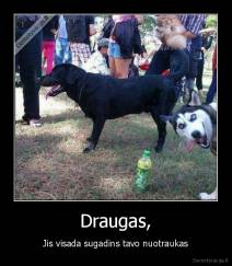 Draugas, - Jis visada sugadins tavo nuotraukas