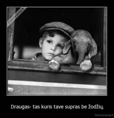 Draugas- tas kuris tave supras be žodžių. - 