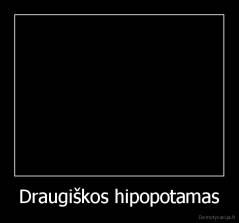 Draugiškos hipopotamas - 