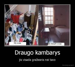 Draugo kambarys - jis visada gražesnis nei tavo