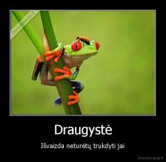 Draugystė - Išvaizda neturėtų trukdyti jai