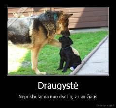 Draugystė - Nepriklausoma nuo dydžio, ar amžiaus