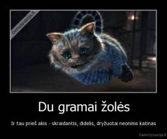 Du gramai žolės - Ir tau prieš akis - skraidantis, didelis, dryžuotai neoninis katinas
