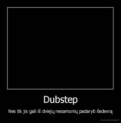 Dubstep - Nes tik jis gali iš dviejų nesamonių padaryti šedevrą