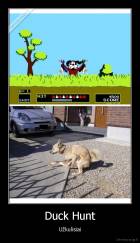 Duck Hunt - Užkulisiai