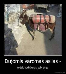 Dujomis varomas asilas - - todėl, kad šienas pabrango