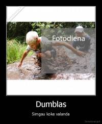 Dumblas - Simgau koke valanda