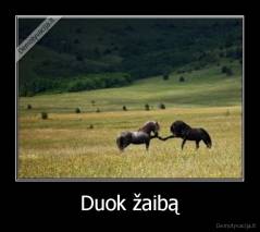 Duok žaibą - 
