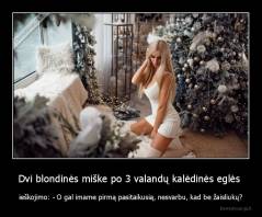 Dvi blondinės miške po 3 valandų kalėdinės eglės  - ieškojimo: - O gal imame pirmą pasitaikusią, nesvarbu, kad be žaisliukų?