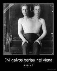 Dvi galvos geriau nei viena - Ar tikrai ?