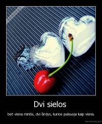 Dvi sielos  - bet viena mintis, dvi širdys, kurios pulsuoja kaip viena.