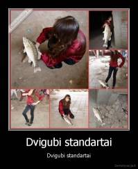 Dvigubi standartai - Dvigubi standartai