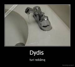 Dydis  - turi reikšmę