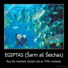 EGIPTAS (Šarm aš Šeichas) - Nuo šio mėnesio nardyk net su 70% nuolaida.