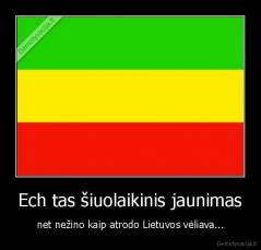 Ech tas šiuolaikinis jaunimas - net nežino kaip atrodo Lietuvos vėliava...