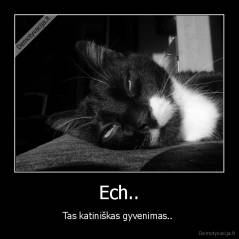 Ech.. - Tas katiniškas gyvenimas.. 