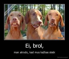 Ei, brol, - man atrodo, kad mus kažkas stebi