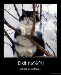 Eikit n$%^i! - Dabar aš pelėda...