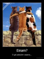 Einam? - O gal palaukim vasaros...